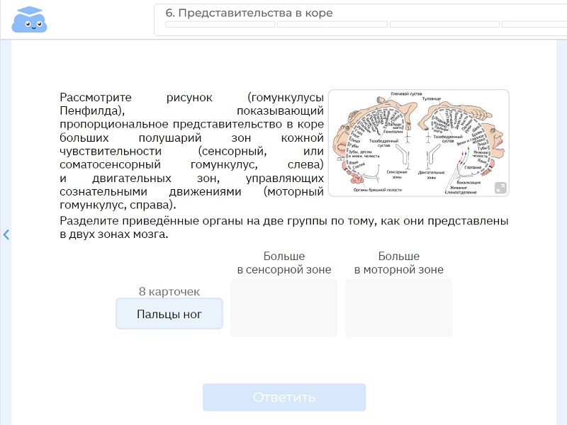 Проведение самостоятельной работы по теме «Строение и функции головного мозга». Тренажер «Облако знаний». Биология, 9 класс